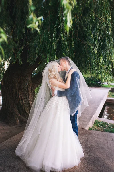 結婚式。花嫁と花婿、美しい公園での結婚式の日、結婚カップルのロマンチックなキス . — ストック写真