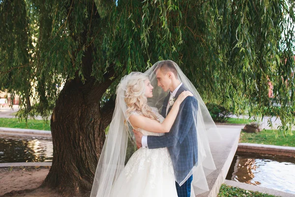 Boda .Novia y novio, Besos en un hermoso parque el día de la boda., Pareja casada romántica  . — Foto de Stock