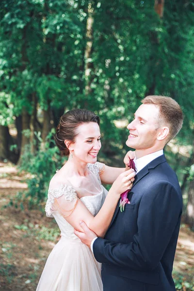 Novia y novio juntos. pareja abrazándose. Día de la boda. Hermosa novia y novio elegante caminando después de la ceremonia de la boda. Novia y novio en el día de la boda — Foto de Stock