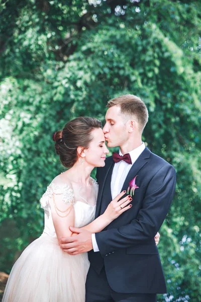 Brudgummen och bruden tillsammans. par som kramas. Bröllopsdag. Vackra brudparet eleganta promenader efter vigseln. Brudparet på bröllopsdagen — Stockfoto