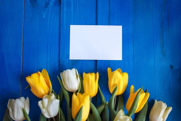 Flores de tulipa de primavera, cartão de papel presente na mesa de madeira azul de cima em estilo flat lay . — Fotografia de Stock