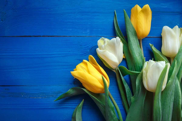 Gele en witte beautifu tulpen op blauwe houten achtergrond met ruimte voor bericht. — Stockfoto