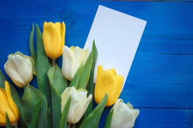 Bahar Lale çiçek, Hediyelik kağıt yukarıdaki mavi ahşap masa düz yatıyordu tarzı kartta. Kadın ya da anneler günü için tebrik.