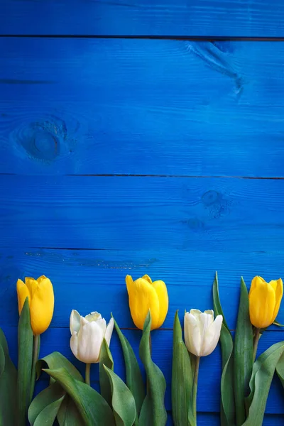 Rij van tulpen op blauwe houten achtergrond met ruimte voor bericht. Vrouwen of Moederdag achtergrond. Bovenaanzicht. — Stockfoto