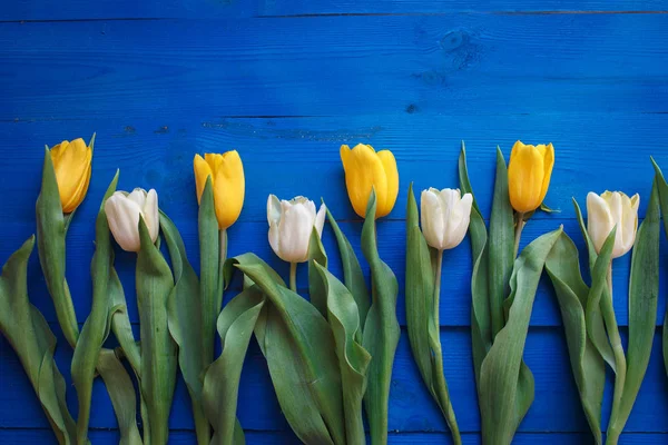 Rij van tulpen op blauwe houten achtergrond met ruimte voor bericht. Vrouwen of Moederdag achtergrond. Bovenaanzicht. — Stockfoto