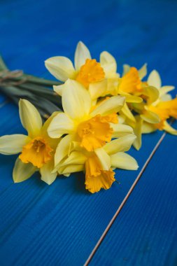 Sarı nergis buket mavi ahşap arka plan, Paskalya kartı üzerinde