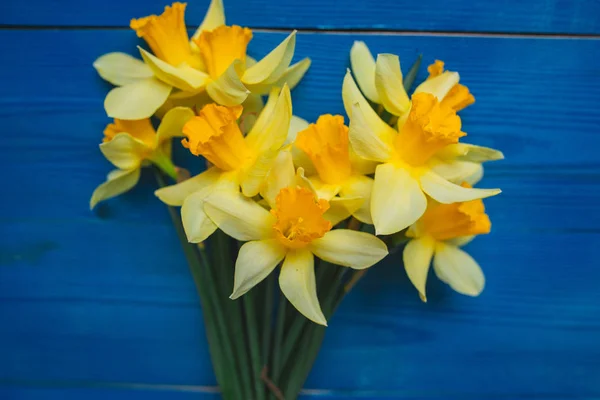 Bouquet de jonquilles jaunes sur fond bleu bois, carte de Pâques — Photo