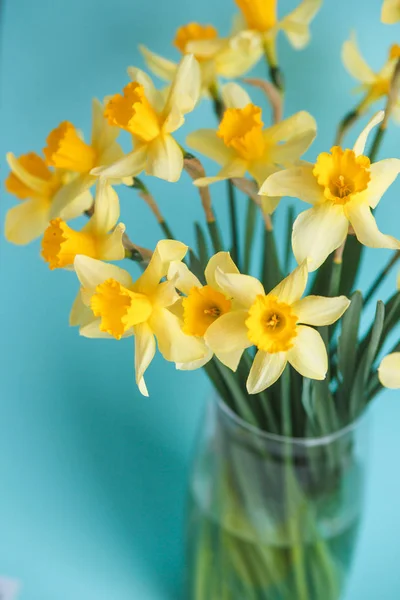 Κίτρινος Νάρκισσος ή ασφόδελος λουλούδια σε ακουαμαρίνα φόντο. Επιλεκτική εστίαση. Θέση για το κείμενο. — Φωτογραφία Αρχείου