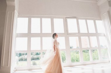 güzel gelin kapalı portresi. Muhteşem Gelinlik Studio gelin kız moda