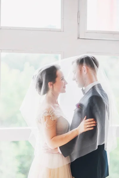 .schönes Brautpaar-Porträt mit Schleier über dem Gesicht. stilvoll liebevolles Hochzeitspaar küsst und umarmt — Stockfoto