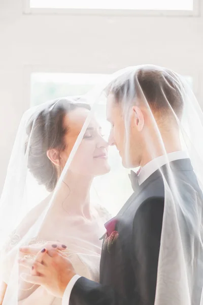 .Vackra bruden och brudgummen porträtt med slöja över ansiktet. Eleganta Loving bröllop par kyssas och kramas — Stockfoto