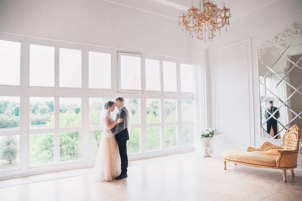 .Hermoso retrato de novia y novio con velo sobre la cara. Elegante pareja de boda cariñosa besándose y abrazándose — Foto de Stock