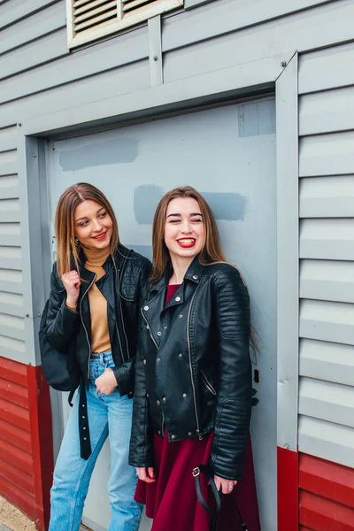 Dos atractivas amigas jóvenes de pie juntas y posando en la cámara — Foto de Stock