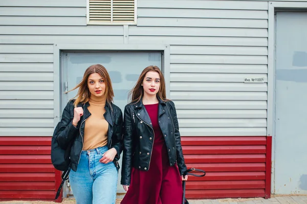 Dos atractivas amigas jóvenes de pie juntas y posando en la cámara —  Fotos de Stock
