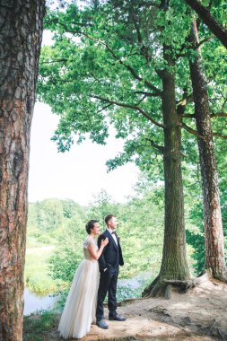 Damat ve gelin birlikte. Düğün çifti. Yeni evli gelin ve damat bir düğünde doğa orman