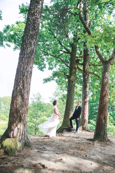 Novia y novio juntos. Pareja de bodas. recién casados novia y novio en una boda en la naturaleza bosque verde —  Fotos de Stock