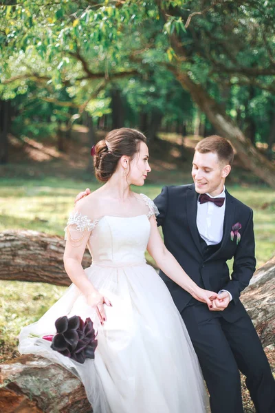 O noivo e a noiva juntos. Casamento casal ao ar livre — Fotografia de Stock