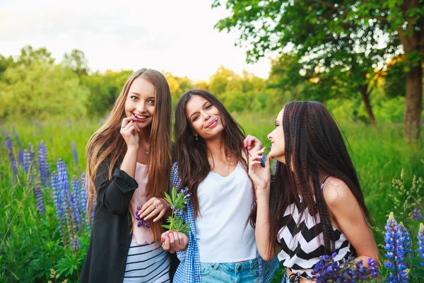 Ritratto di amici sorridenti felici durante il fine settimana all'aperto. Tre belle ragazze felici migliori amiche che si divertono, sorridono e ridono . — Foto Stock