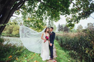 Romantik Çift Park düğün günü düğün. Sarılma gelin damat