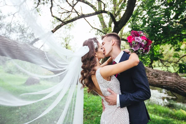 結婚されていたカップルが公園でキス — ストック写真