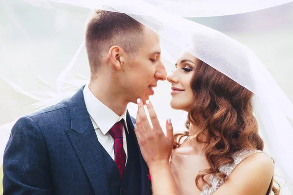 Close up retrato romântico de belo casal de casamento sob o véu  . — Fotografia de Stock