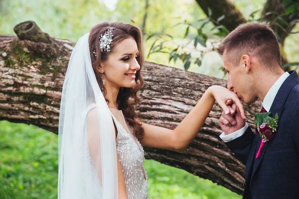 Gelukkige bruid en bruidegom op hun bruiloft — Stockfoto