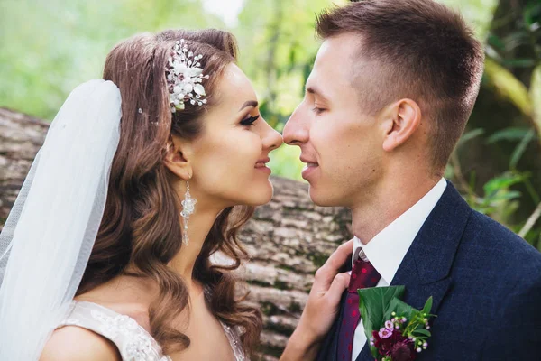 Hermosa novia recién casada y novio abrazándose en el parque . — Foto de Stock