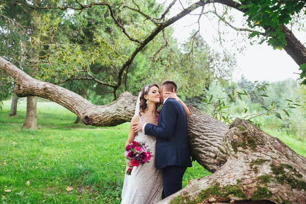 Feliz novia y novio en su boda —  Fotos de Stock