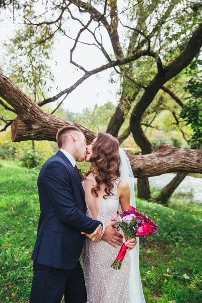 Bela noiva recém-casada e noivo beijando no parque . — Fotografia de Stock