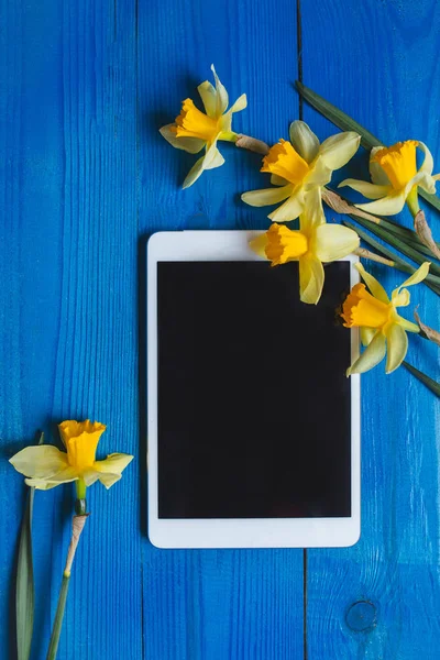 Narciso amarillo brillante o flores de narciso y tableta sobre fondo de madera azul. Lugar para el texto . — Foto de Stock