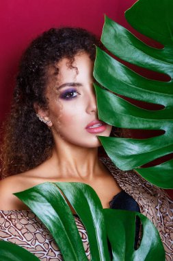 Kıvırcık saçlı bir güzel genç Afro-Amerikan kadın moda modelinin yakın çekim portre