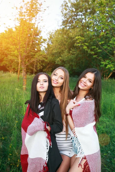 Три милые девушки стоят в клетке на открытом воздухе, лучшие друзья веселятся и смеются в парке — стоковое фото