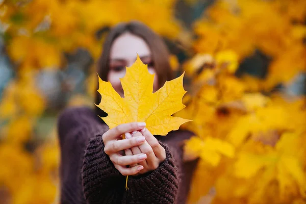 Young autumn woman with yellow maple autumn leaves . Selective focus on leaf — Stock Photo, Image