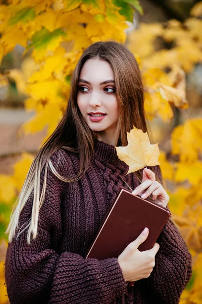 Portrait of beautiful girl with book in the autumn park — Stock Photo, Image