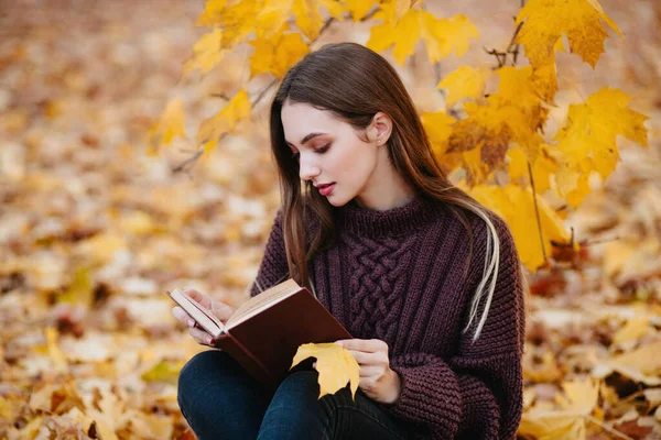 Sonbahar günü kitap okuyan rahat genç bir kadın. — Stok fotoğraf