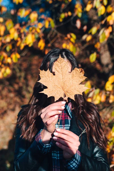 Maple leaf in the hands of a girl in autumn park — Stock Photo, Image