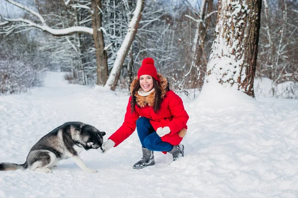 Açık havada bir kızla köpek çiftleşmesi. Sahibiyle yürüyüşe çıkmış. — Stok fotoğraf