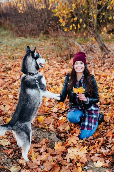 Glad ung kvinna leker med sin hund i parken — Stockfoto