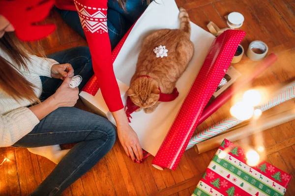 Karácsonyi ajándék csomagolás háttér egy új év dekoráció, régi papír és ajándékok és macska fekszik a fa háttér — Stock Fotó