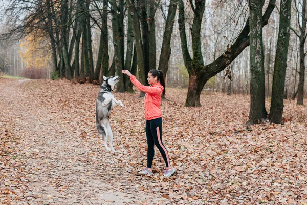 Girl playing with her husky dog in autumn park — Stockfoto
