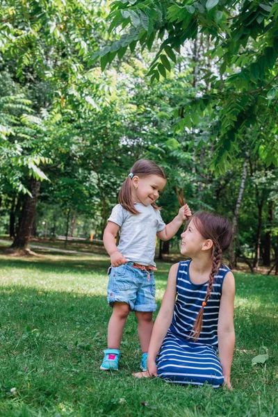 Dos hermanas felices jugando en la hierba verde al aire libre en el parque de verano — Foto de Stock