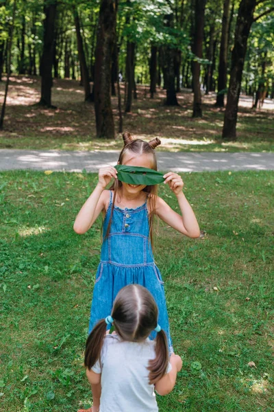 Roliga aktiva barn spelar på grönt gräs i vår park — Stockfoto
