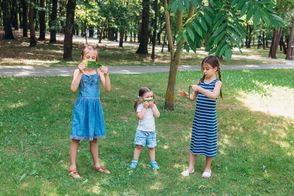 Niños felices jugando sobre hierba verde en el parque de verano — Foto de Stock