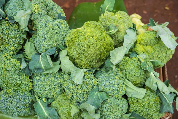 Broccoli i en hög på en marknad — Stockfoto