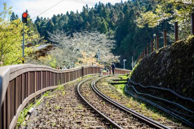 Orman tren demiryolu Alişan Ulusal doğal alan, Tayvan,