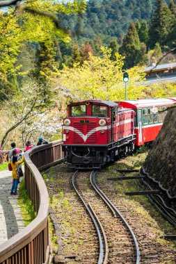 Alişan orman tren Alişan Ulusal doğal alanda spri sırasında
