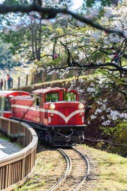 Alişan orman tren Alişan Ulusal doğal alanda spri sırasında