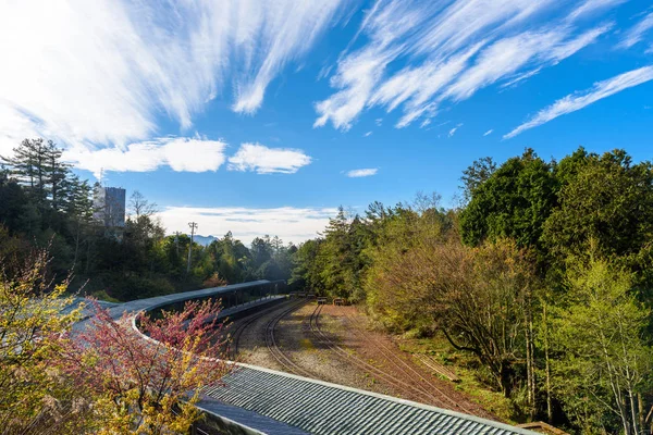 森林鉄道阿里山国家風景、桜と鉄道 — ストック写真