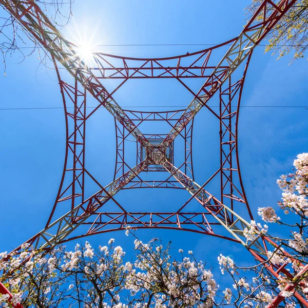 Kirschbaumblüte mit Turm auf alishan nationalem landschaftlichem Gebiet, — Stockfoto