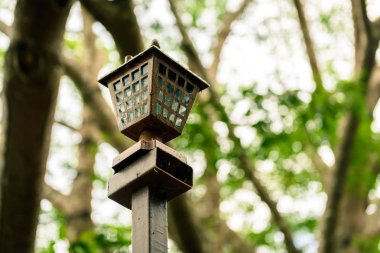 doğa arka planda lamba sonrası